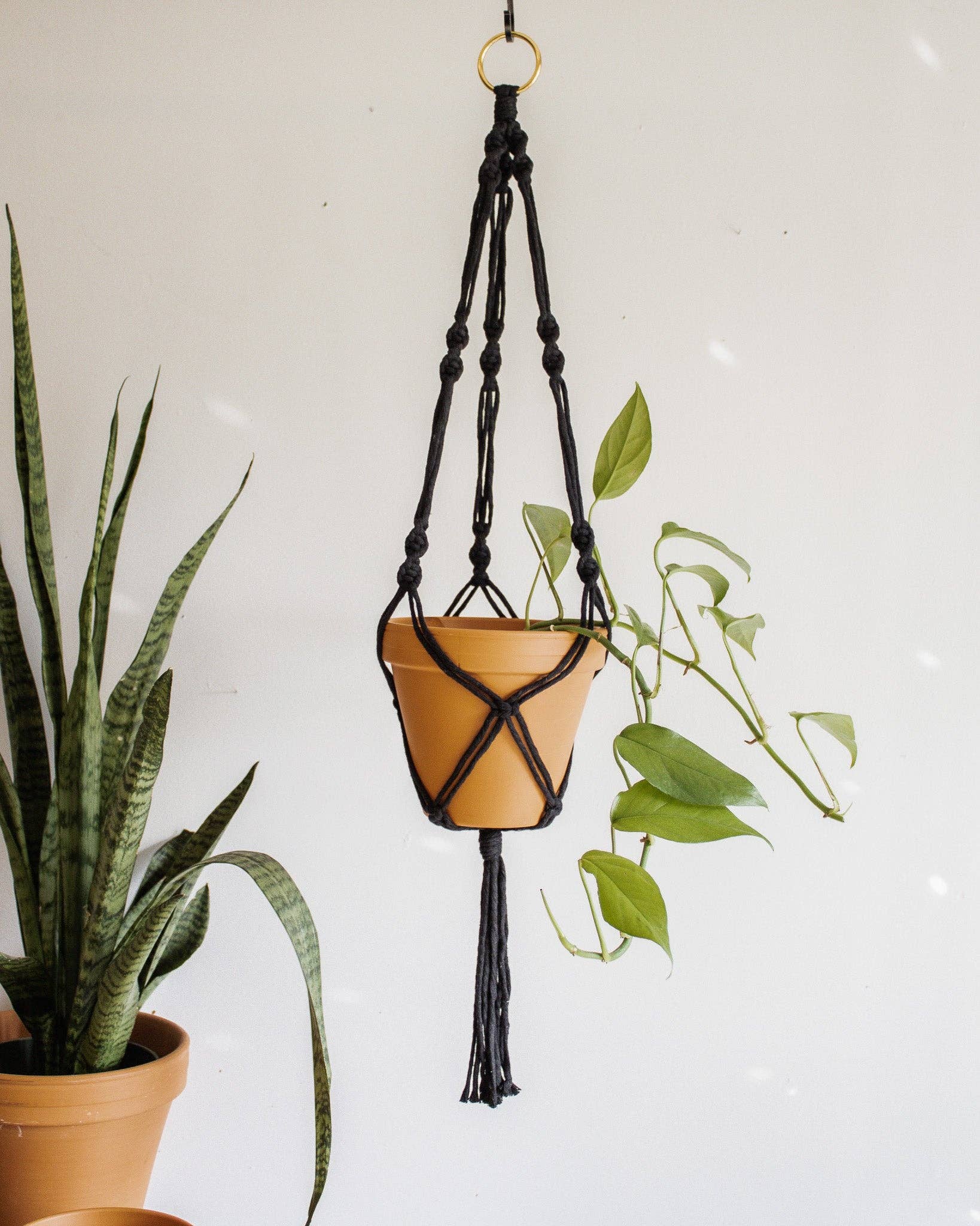 super simple macrame plant hanger Simple Twist Macrame Plant Hanger – Atomic Polish