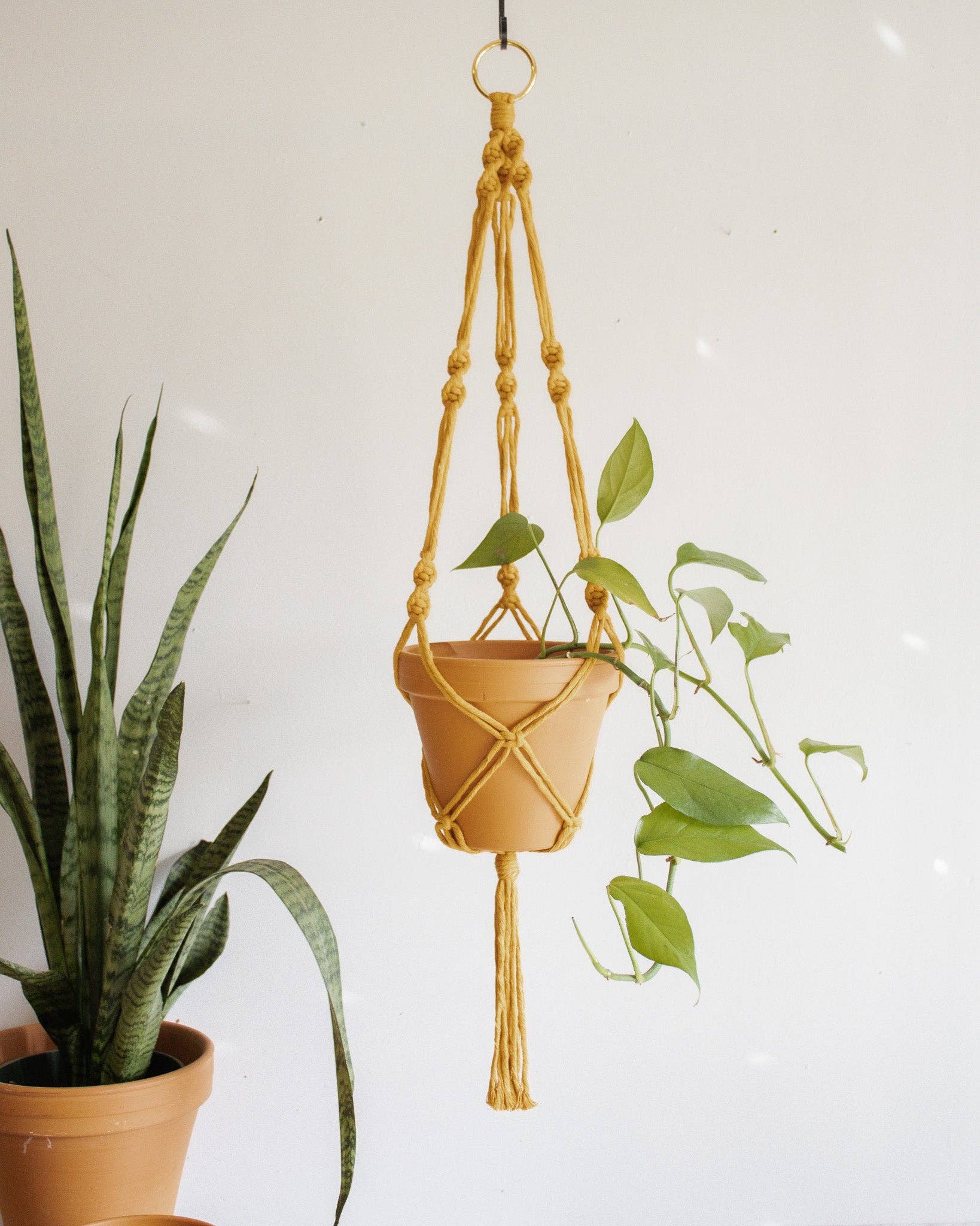 easy small macrame plant hanger Simple Twist Macrame Plant Hanger – Atomic Polish