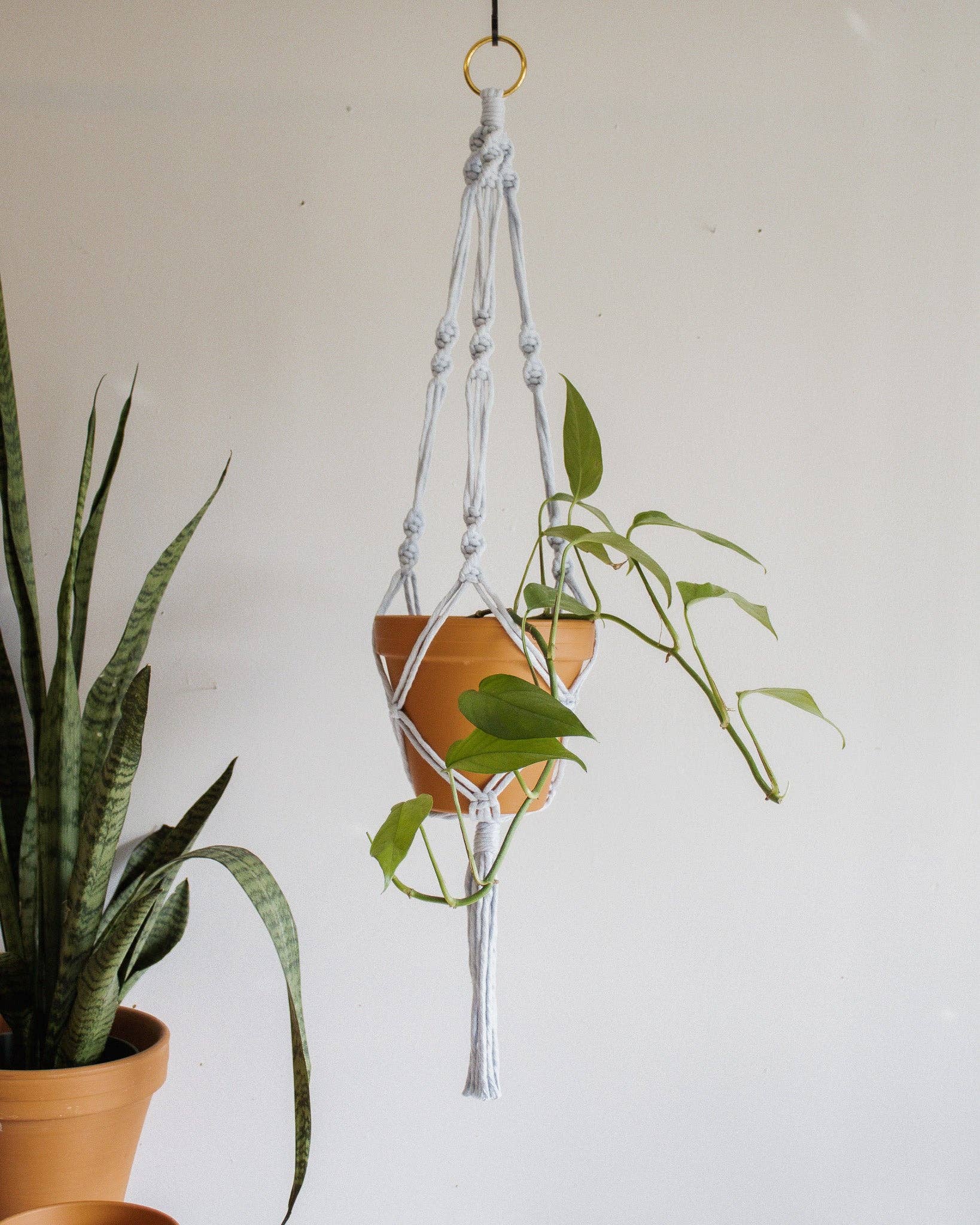 hanging macrame plant pot Simple Twist Macrame Plant Hanger – Atomic Polish